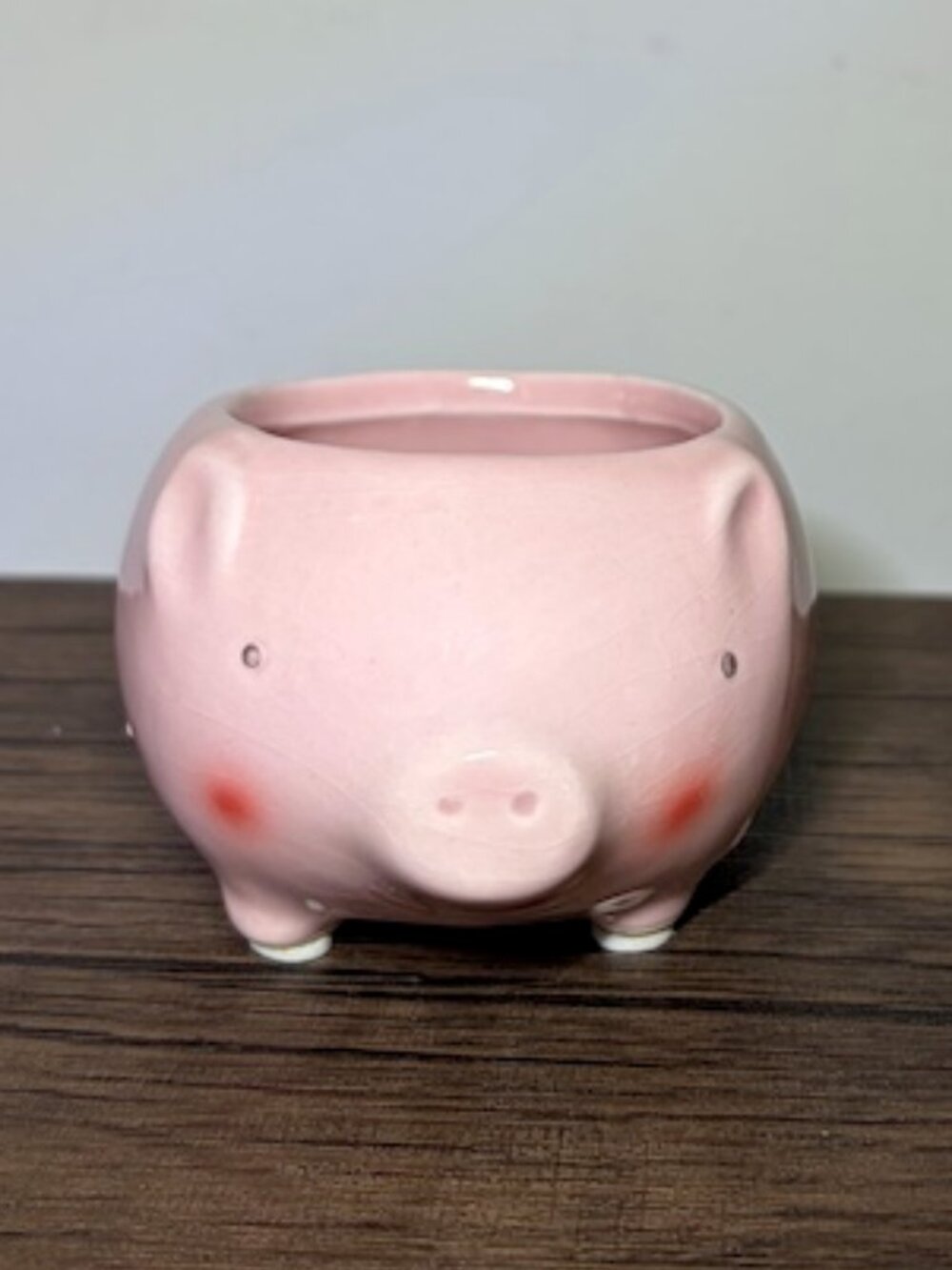 Pink Pig Miss Piggy Ceramic Plant Pot with Drainage for Succulents Cactus